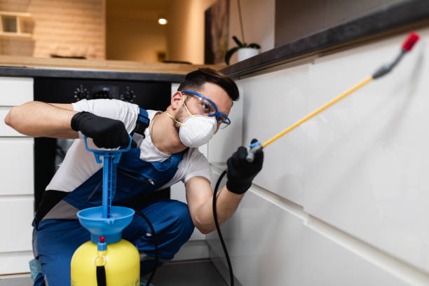 Wasp Removal Services in Clinton, KY