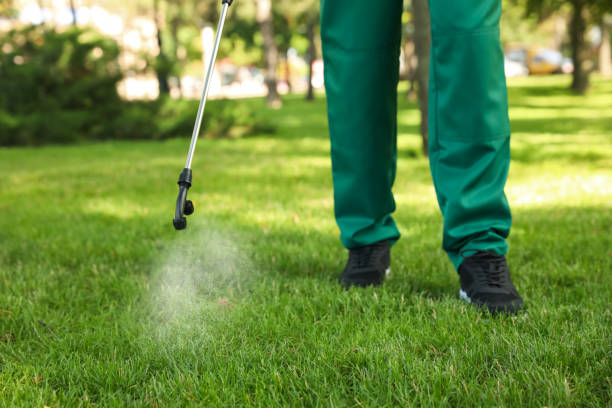 Best Exterminator Services  in Clinton, KY