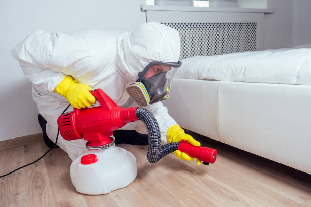 Best Wasp Removal Services  in Clinton, KY