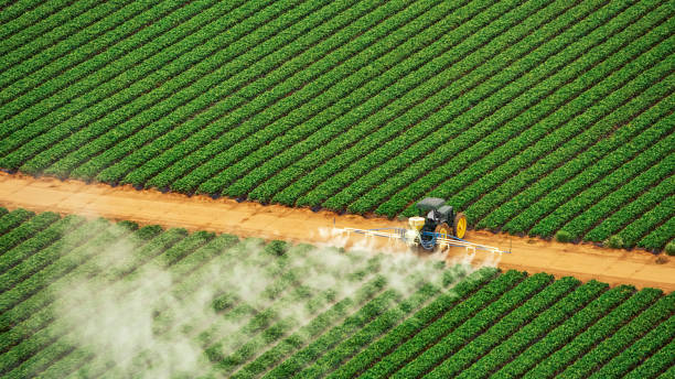 Best Pest Prevention Services  in Clinton, KY
