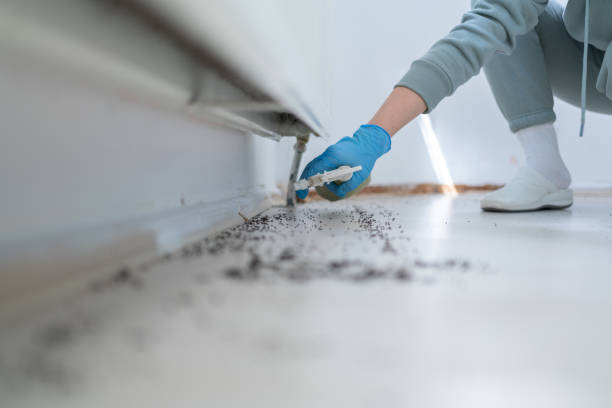 Best Insect Control  in Clinton, KY